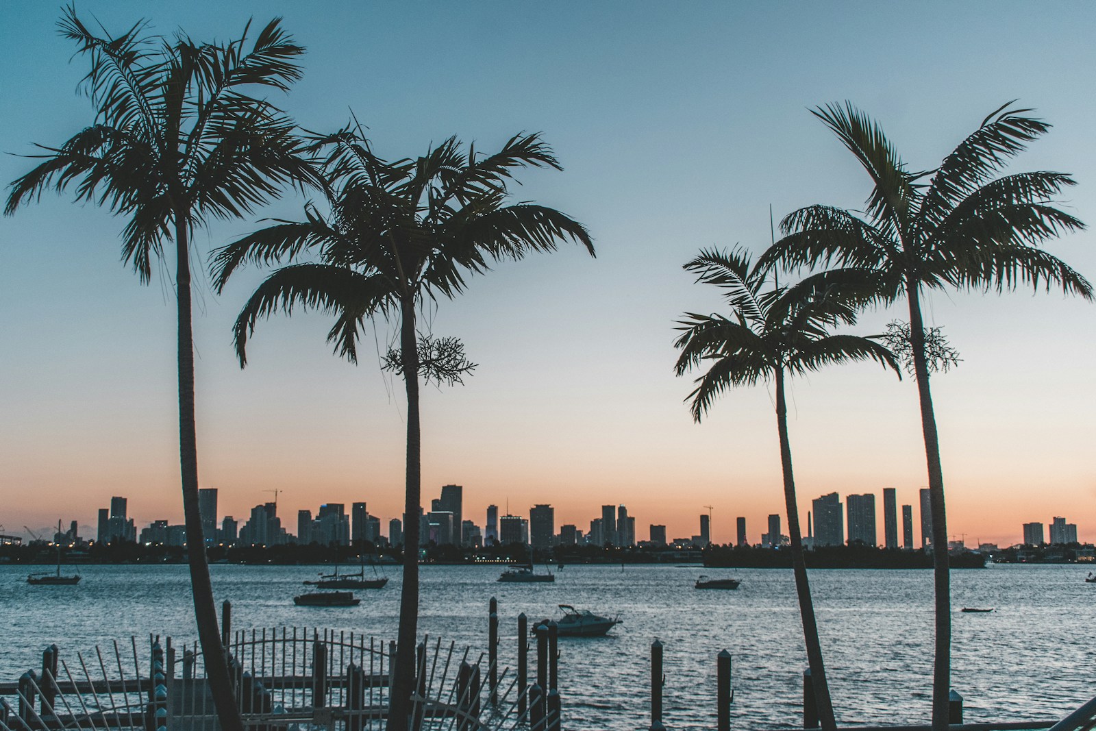 silhouette of palm trees near body of water during sunset, florida home insurance